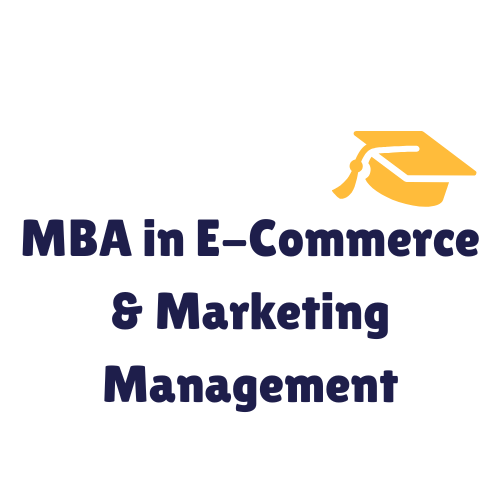 Online MBA in E-Commerce & Marketing Management